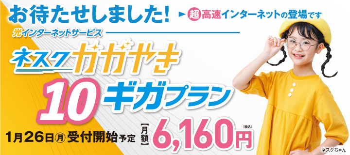 ネスクかがやき10ギガプラン